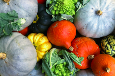 UVM Medical Center Winter Farmers Market