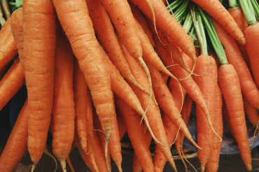 Vergennes Farmers Market