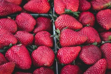 Vergennes Farmers Market