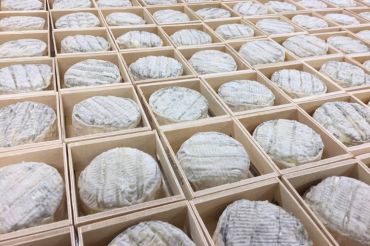Vermont Creamery