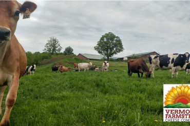 Vermont Farmstead Cheese