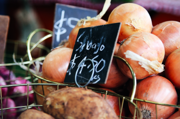 Waitsfield Farmers Market