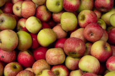 Waterbury Farmers Market