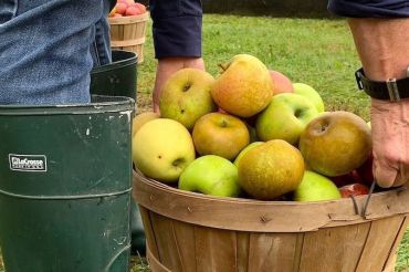 Whitman Brook Orchard