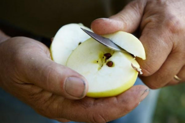 Wood's Cider Mill