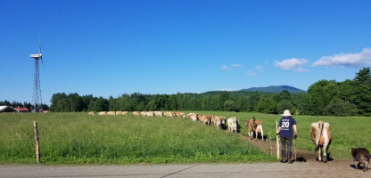 Meet the Dairy Farm: Butterworks Farm