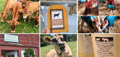 Meet the Dairy Farmers: Cedar Mountain Farm