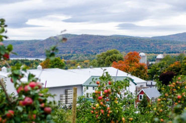 Meet the Grower: Champlain Orchards & Cidery