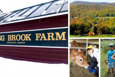 Meet the Dairy Farm: Spring Brook Farm