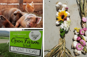 Vermont Classic: Open Farm Week 2019 