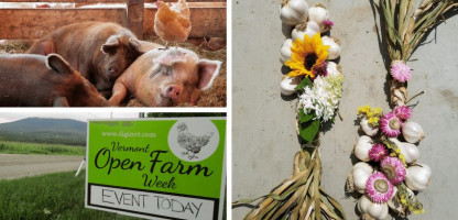 Vermont Classic: Open Farm Week 2019 