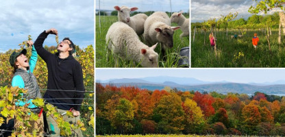 Meet the Farmer: Ellison Estate Vineyard