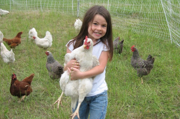 Vermont Open Farm Week: Fun for Kids