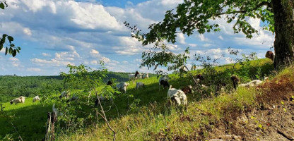 Meet the Farmer: Morse Brook Farm