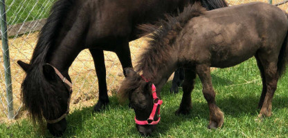 2019 Open Farm Week Events in Chittenden County