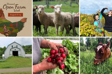 2021 Vermont Open Farm Week Preview