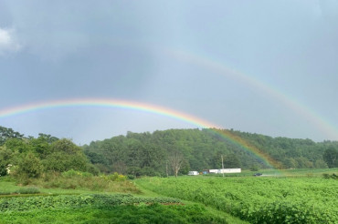 Images from Vermont Open Farm Week 2021