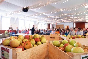 Celebrate Heirloom Apples at Scott Farm: Heirloom Apple Day, PYO & Educational Workshops