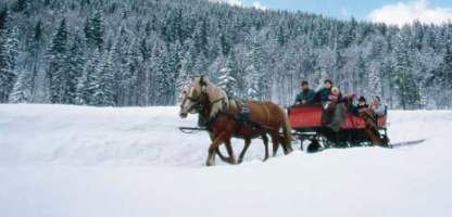 'Tis the Season for Sleigh Rides! 