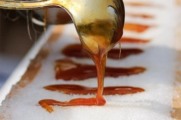 Seize the Sweetest Season - Everything Maple