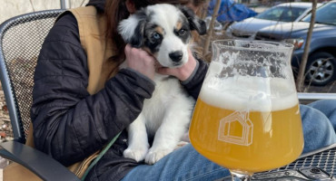 Dog Friendly Patio Trail in Vermont