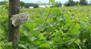 Lake Champlain Tasting Trail - North