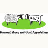 VSGA Logo