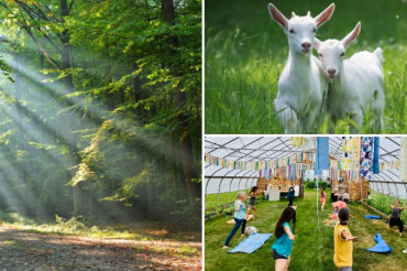 Vermont Open Farm Week 2021: Health & Wellness