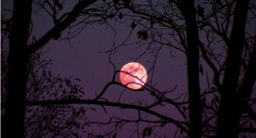 A Spooky Ghost Walk Trail