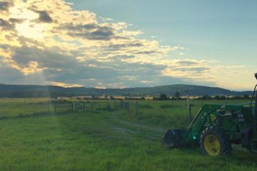 Open Farm Week 2020