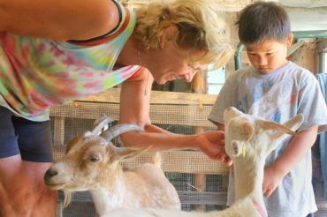 Open Farm Week: Fun for Kids!