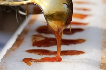 Seize the Sweetest Season - Everything Maple