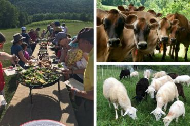 First Timers: Open Farm Week 2018