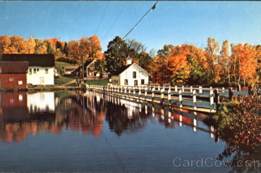 Framing Foliage in Farms, Food and Community