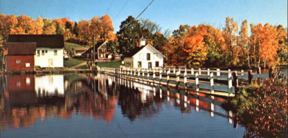 Framing Foliage in Farms, Food and Community