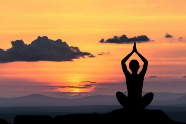 Flow Yoga to Support Charlotte Land Trust at Adam's Berry Farm | Open Farm Week 2024