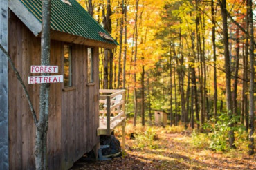 Harvest Festival: Merck Forest & Farmland Center