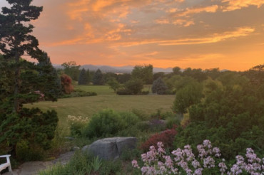 DATE CHANGE: Self-Guided Farm Tours at Golden Apple Family Farm | Open Farm Week 2024