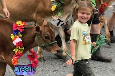 Strolling of the Heifers 2019
