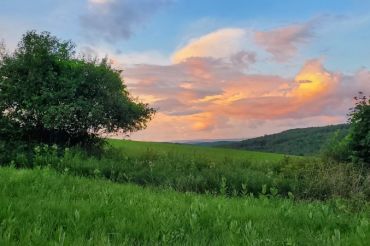 Goat Yoga at Morse Brook Farm | Open Farm Week 2020