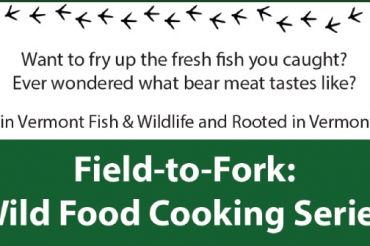 Field to Fork: Wild Food Cooking Series
