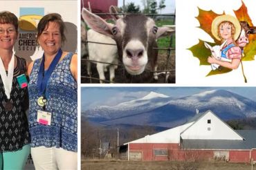 Free Boston Post Dairy Cheese Tasting | Cheese & Wine Traders