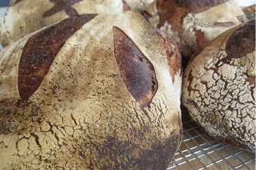 Bread Baking 101: Introduction To Baking With Sourdough