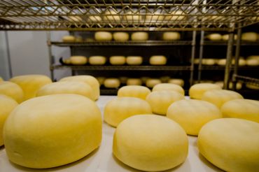 Food Tripping in VT with Cheese Journeys