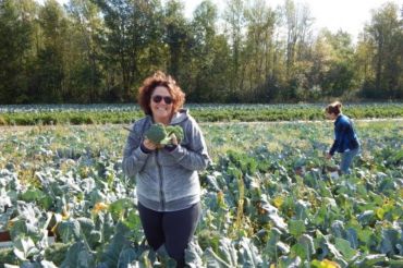 Gleaning with Healthy Roots at Pomykala Farm | Open Farm Week 2020
