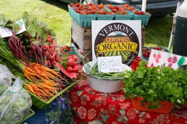 Champlain Islands Farmers Market Harvest Fest