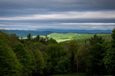 Open Farm Day with Wood-Fired Pizza at Vermont Grand View Farm | Open Farm Week 2020