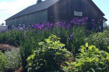 Field-to-Table Dinner with Chef Lee Duberman | Green Mountain Girls Farm