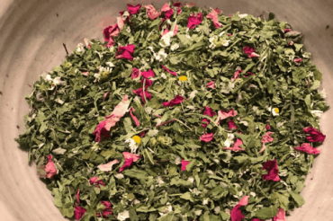Herbal Tea Party with Spoonful Herbals | Shelburne Farms