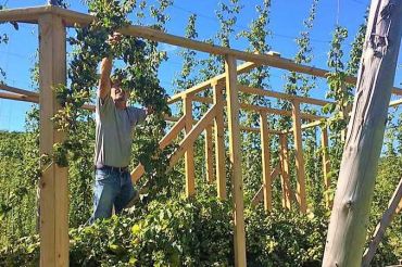 Homestead Hops Tour & Taste | 2019 Open Farm Week